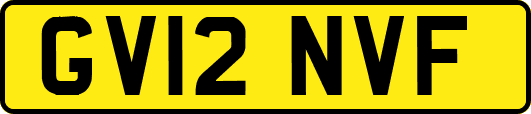 GV12NVF