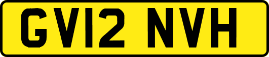 GV12NVH