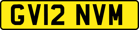 GV12NVM