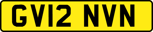 GV12NVN
