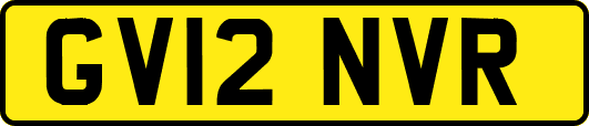 GV12NVR
