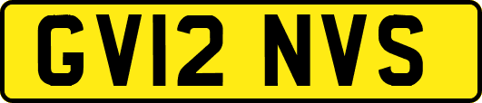 GV12NVS