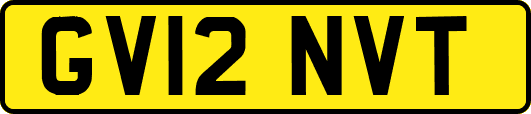 GV12NVT