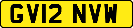 GV12NVW