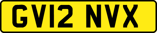 GV12NVX