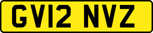 GV12NVZ