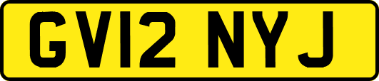 GV12NYJ