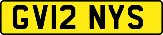 GV12NYS
