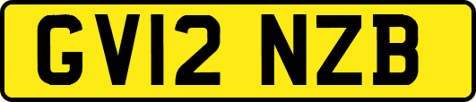 GV12NZB