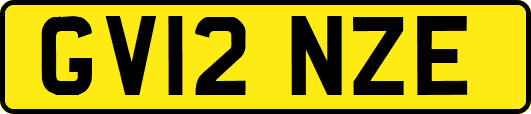 GV12NZE