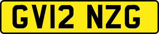 GV12NZG