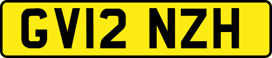 GV12NZH
