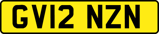 GV12NZN