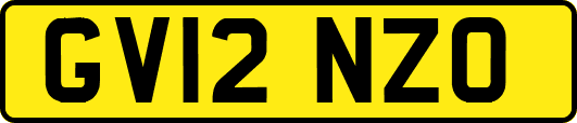 GV12NZO