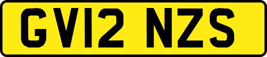 GV12NZS