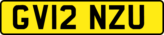 GV12NZU