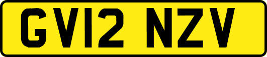 GV12NZV