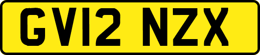 GV12NZX