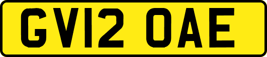 GV12OAE