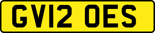 GV12OES