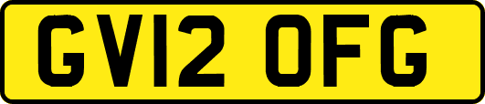 GV12OFG