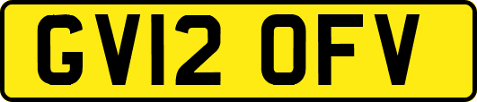 GV12OFV