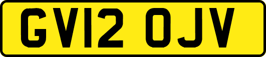 GV12OJV