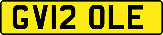 GV12OLE