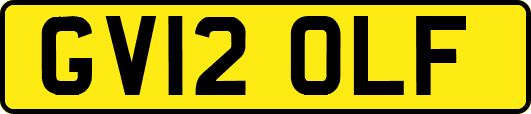 GV12OLF