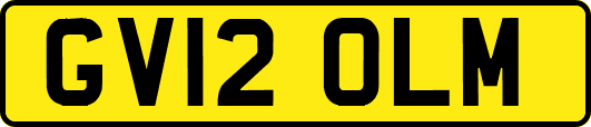 GV12OLM
