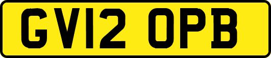 GV12OPB
