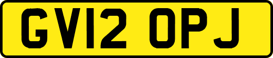 GV12OPJ
