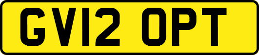 GV12OPT