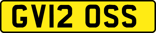 GV12OSS