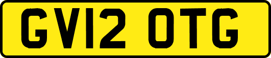 GV12OTG