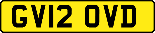 GV12OVD