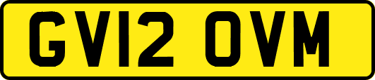 GV12OVM