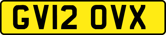 GV12OVX
