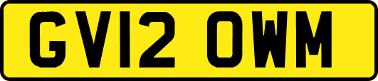 GV12OWM