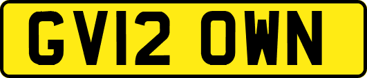 GV12OWN