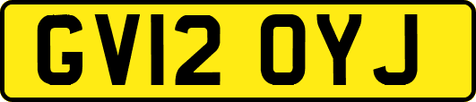 GV12OYJ