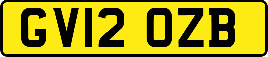 GV12OZB