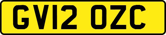GV12OZC