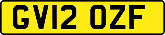 GV12OZF
