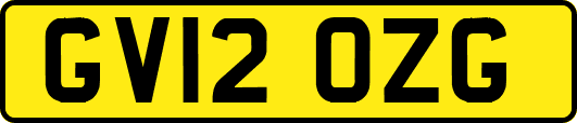 GV12OZG