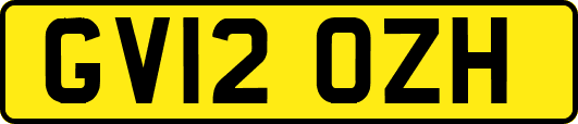 GV12OZH