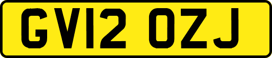 GV12OZJ
