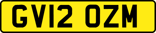 GV12OZM
