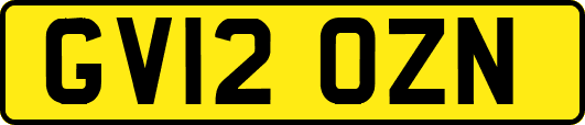 GV12OZN