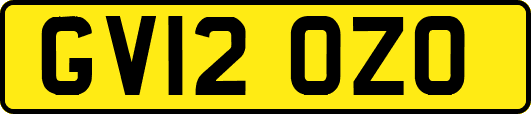 GV12OZO